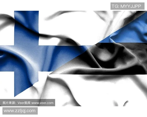 芬兰与爱沙尼亚足球对决比分揭晓精彩瞬间回顾