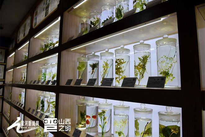 乐鱼电竞天下汇集媒体山西行｜“古代聪颖+今世科技” 山西中医药进展前景可期！(图2)
